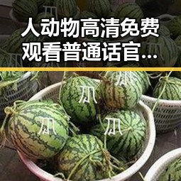 人动物高清免费观看普通话官方版：珠海市热门影视资源解析