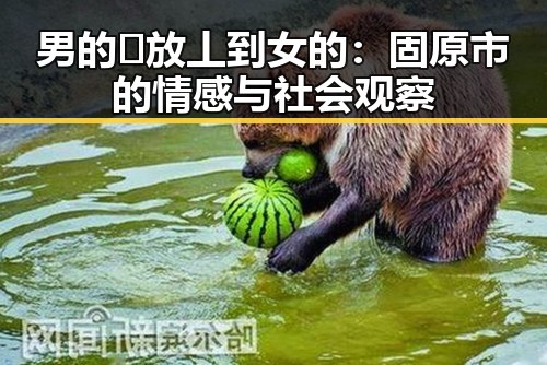 男的🈚放丄到女的：固原市的情感与社会观察