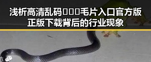 浅析高清乱码🔞❌♋毛片入口官方版正版下载背后的行业现象