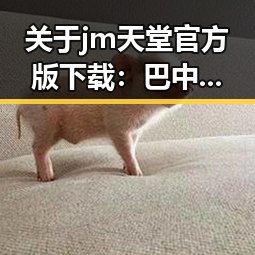 关于jm天堂官方版下载：巴中市用户的新选择