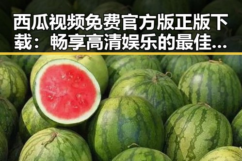 西瓜视频免费官方版正版下载：畅享高清娱乐的最佳选择