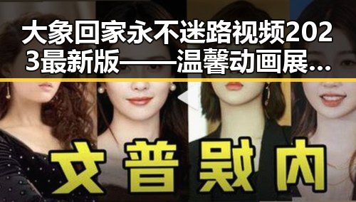 大象回家永不迷路视频2023最新版——温馨动画展现大象归家的感人瞬间