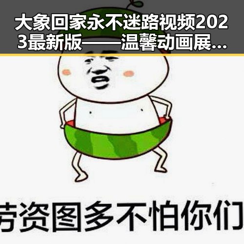 大象回家永不迷路视频2023最新版——温馨动画展现大象归家的感人瞬间