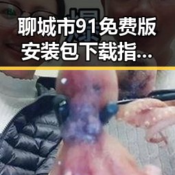 聊城市91免费版安装包下载指南及最新动态