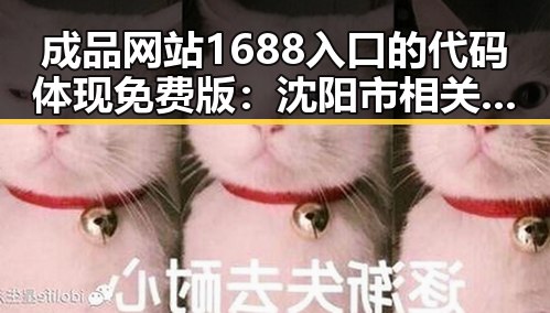 成品网站1688入口的代码体现免费版：沈阳市相关实践探索