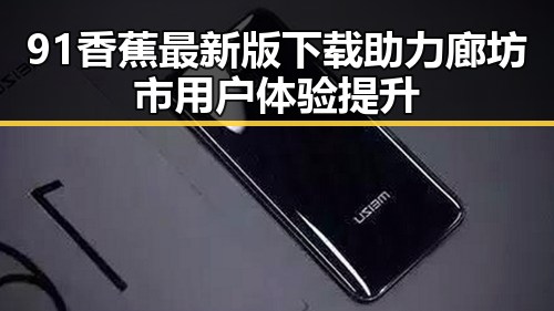 91香蕉最新版下载助力廊坊市用户体验提升
