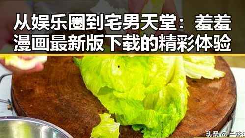从娱乐圈到宅男天堂：羞羞漫画最新版下载的精彩体验