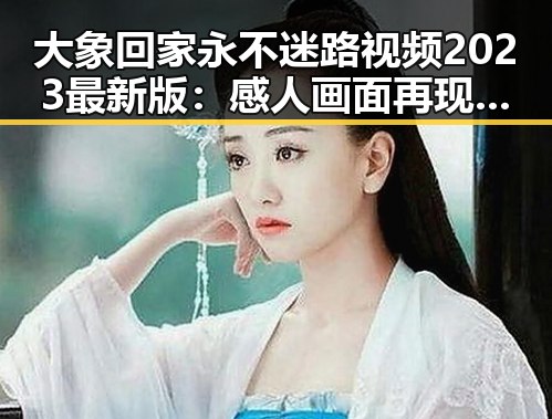 大象回家永不迷路视频2023最新版：感人画面再现奇迹