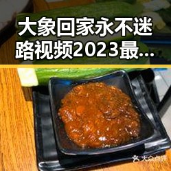 大象回家永不迷路视频2023最新版：感人画面再现奇迹