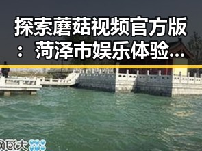 探索蘑菇视频官方版：菏泽市娱乐体验新选择