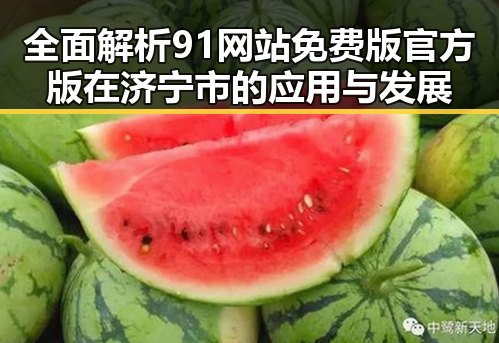 全面解析91网站免费版官方版在济宁市的应用与发展
