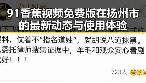 91香蕉视频免费版在扬州市的最新动态与使用体验