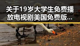 关于19岁大学生免费播放电视剧美国免费版的分析与推荐