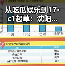 从吃瓜娱乐到17·c1起草：沈阳市相关背景的演变与影响