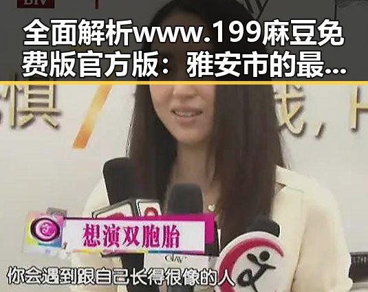 全面解析www.199麻豆免费版官方版：雅安市的最新资源与使用指南