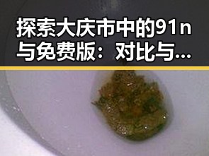探索大庆市中的91n与免费版：对比与选择指南