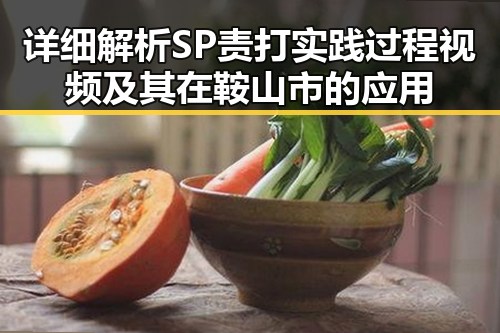 详细解析SP责打实践过程视频及其在鞍山市的应用