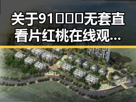 关于91❌❌❌无套直看片红桃在线观看今官方版的全面解析