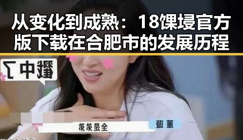 从变化到成熟：18馃埐官方版下载在合肥市的发展历程