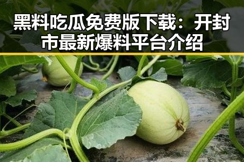黑料吃瓜免费版下载：开封市最新爆料平台介绍