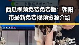 西瓜视频免费免费版：朝阳市最新免费视频资源介绍