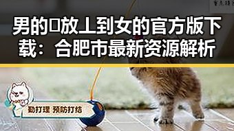 男的🈚放丄到女的官方版下载:合肥市最新资源解析