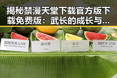 揭秘禁漫天堂下载官方版下载免费版：武长的成长与争议