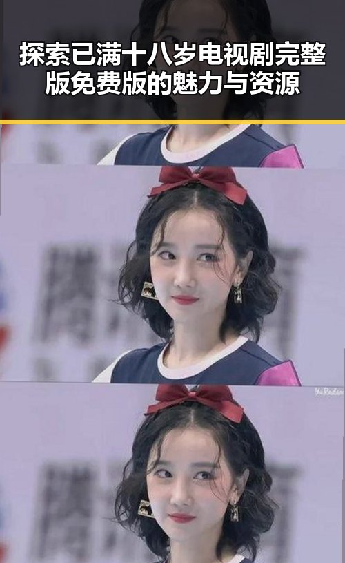 探索已满十八岁电视剧完整版免费版的魅力与资源