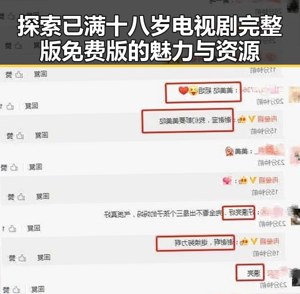 探索已满十八岁电视剧完整版免费版的魅力与资源