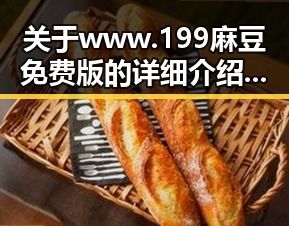 关于 www.199麻豆免费版 的详细介绍与使用指南