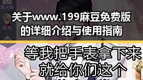 关于 www.199麻豆免费版 的详细介绍与使用指南
