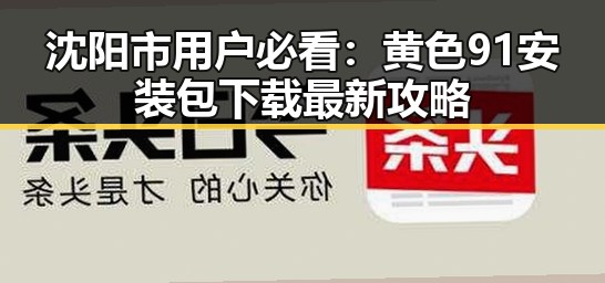 沈阳市用户必看:黄色91安装包下载最新攻略