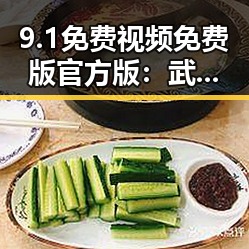 9.1免费视频免费版官方版：武汉市最全面的免费观看平台揭秘