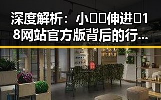 深度解析:小🐔🐔伸进🈲18网站官方版背后的行业变化