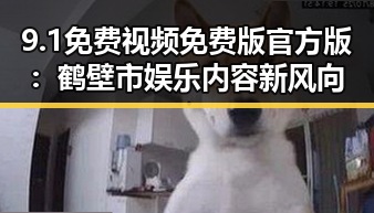 9.1免费视频免费版官方版：鹤壁市娱乐内容新风向
