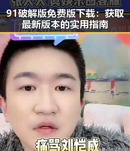 91破解版免费版下载：获取最新版本的实用指南