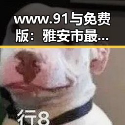 www.91与免费版:雅安市最新资源分析与用户体验