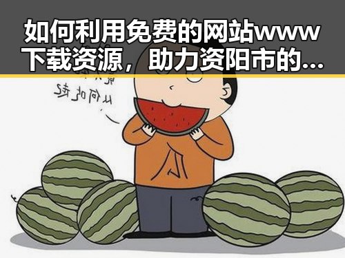 如何利用免费的网站www下载资源，助力资阳市的数字化发展