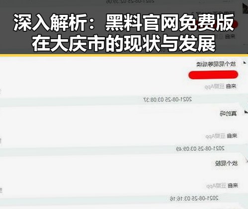 深入解析：黑料 官网免费版在大庆市的现状与发展