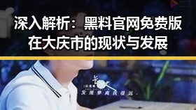 深入解析：黑料 官网免费版在大庆市的现状与发展