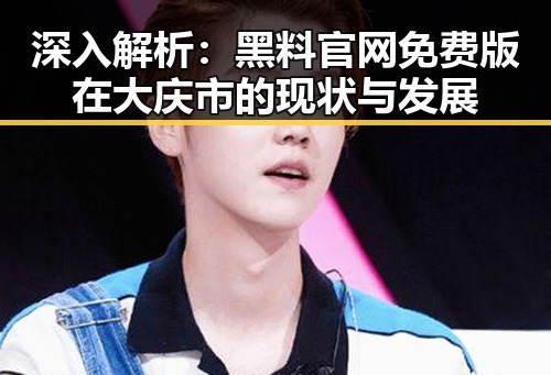 深入解析：黑料 官网免费版在大庆市的现状与发展