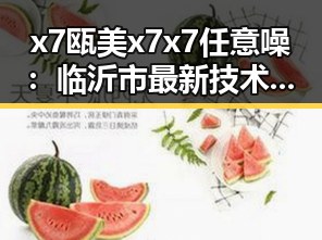 x7瓯美x7x7任意噪：临沂市最新技术应用与发展现状