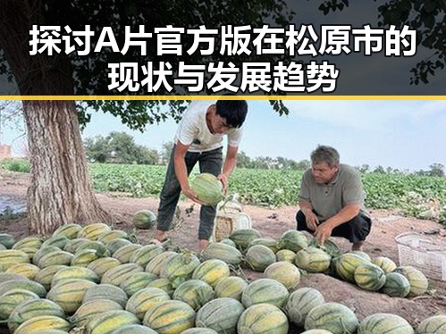 探讨A片官方版在松原市的现状与发展趋势
