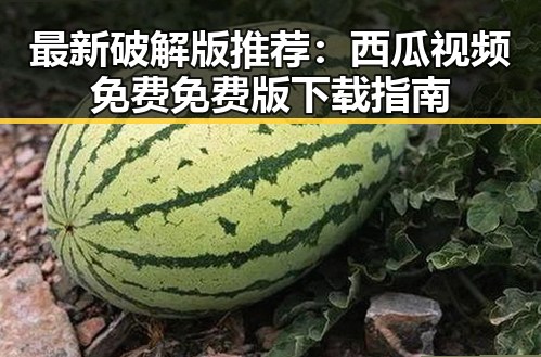 最新破解版推荐：西瓜视频免费免费版下载指南