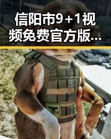 信阳市9+1视频免费官方版：享受优质资源的全新体验
