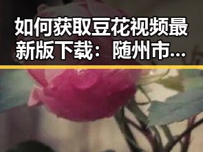 如何获取豆花视频最新版下载：随州市用户必看指南