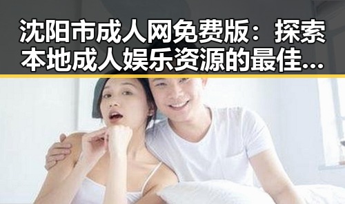 沈阳市成人网免费版：探索本地成人娱乐资源的最佳选择