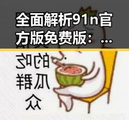 全面解析91n官方版免费版：武汉市用户的最佳选择