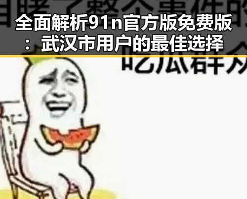 全面解析91n官方版免费版：武汉市用户的最佳选择