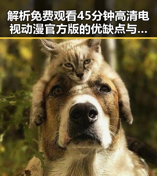 解析 免费观看45分钟高清电视动漫官方版的优缺点与选择指南